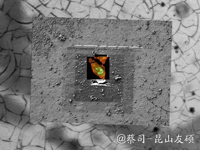 临汾临汾蔡司临汾扫描电镜